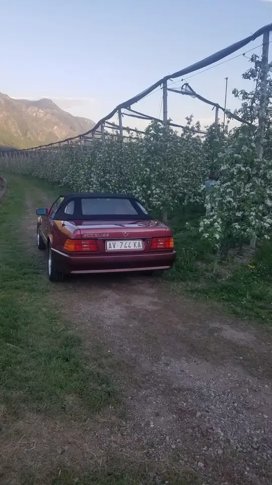 Mercedes-Benz SL 300 SL-24, foto 1