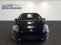 Fiat Punto 1.2 8V Nuova Collezione PDC Erstbesitz Scheckheft - thumbnail 2