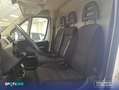 Fiat Ducato 35 L2H1 Nat.Pow(100kW) EU6 Dtemp GNC - Negro - thumbnail 15
