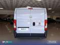 Fiat Ducato 35 L2H1 Nat.Pow(100kW) EU6 Dtemp GNC - Negro - thumbnail 5