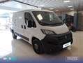 Fiat Ducato 35 L2H1 Nat.Pow(100kW) EU6 Dtemp GNC - Negro - thumbnail 3