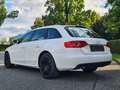 Audi A4 *PICKERL NEU*SERVICEGEFPLEGT* Blanc - thumbnail 10