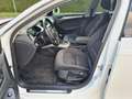 Audi A4 *PICKERL NEU*SERVICEGEFPLEGT* Blanc - thumbnail 15