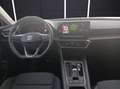 SEAT Leon eTSI Xcellence DSG LED GRA RFK SH 18" Rot - thumbnail 14