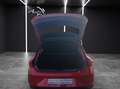 SEAT Leon eTSI Xcellence DSG LED GRA RFK SH 18" Rot - thumbnail 14