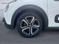 Citroen C3 PureTech 83 S&S Shine Bianco - thumbnail 5