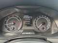 Skoda Kamiq 1,0 TSI Ambition DSG, LED, Sitzheizung, Keyless Grau - thumbnail 14