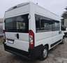 Fiat Ducato 9 posti trasporto disabili Bianco - thumbnail 6