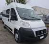 Fiat Ducato 9 posti trasporto disabili Bianco - thumbnail 2