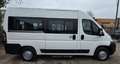 Fiat Ducato 9 posti trasporto disabili Bianco - thumbnail 4