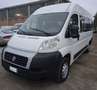 Fiat Ducato 9 posti trasporto disabili Bianco - thumbnail 1