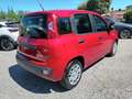 Fiat New Panda 1000 HYBRID 70 CV PDC ITALIA Rosso - thumbnail 6