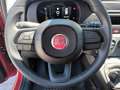 Fiat New Panda 1000 HYBRID 70 CV PDC ITALIA Rosso - thumbnail 13