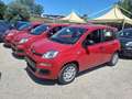 Fiat New Panda 1000 HYBRID 70 CV PDC ITALIA Rosso - thumbnail 3
