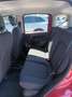 Fiat New Panda 1000 HYBRID 70 CV PDC ITALIA Rosso - thumbnail 8