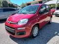 Fiat New Panda 1000 HYBRID 70 CV PDC ITALIA Rosso - thumbnail 2