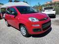 Fiat New Panda 1000 HYBRID 70 CV PDC ITALIA Rosso - thumbnail 1