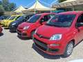Fiat New Panda 1000 HYBRID 70 CV PDC ITALIA Rosso - thumbnail 4