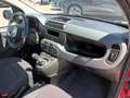 Fiat New Panda 1000 HYBRID 70 CV PDC ITALIA Rosso - thumbnail 11