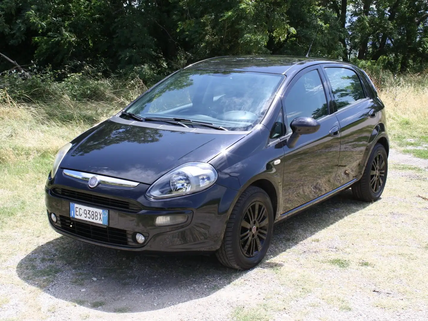 Fiat Punto Evo Punto Evo 5p 1.2 Active s Nero - 1