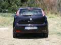 Fiat Punto Evo Punto Evo 5p 1.2 Active s Nero - thumbnail 9
