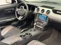 Ford Mustang Cabrio GT V8 Boss*Navi*KAM*SHZ*BLIS*PDC Zwart - thumbnail 8