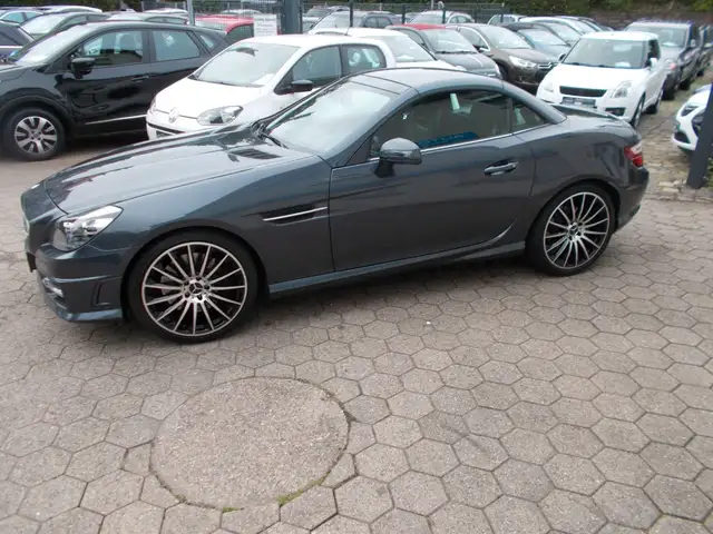 Mercedes-Benz SLK 250 SLK Roadster BlueEfficiency AMG Paket