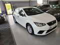 SEAT Ibiza 1.6TDI CR S&S Reference 95 Blanc - thumbnail 30