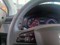 SEAT Ibiza 1.6TDI CR S&S Reference 95 Bianco - thumbnail 12