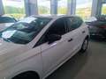 SEAT Ibiza 1.6TDI CR S&S Reference 95 Bianco - thumbnail 7