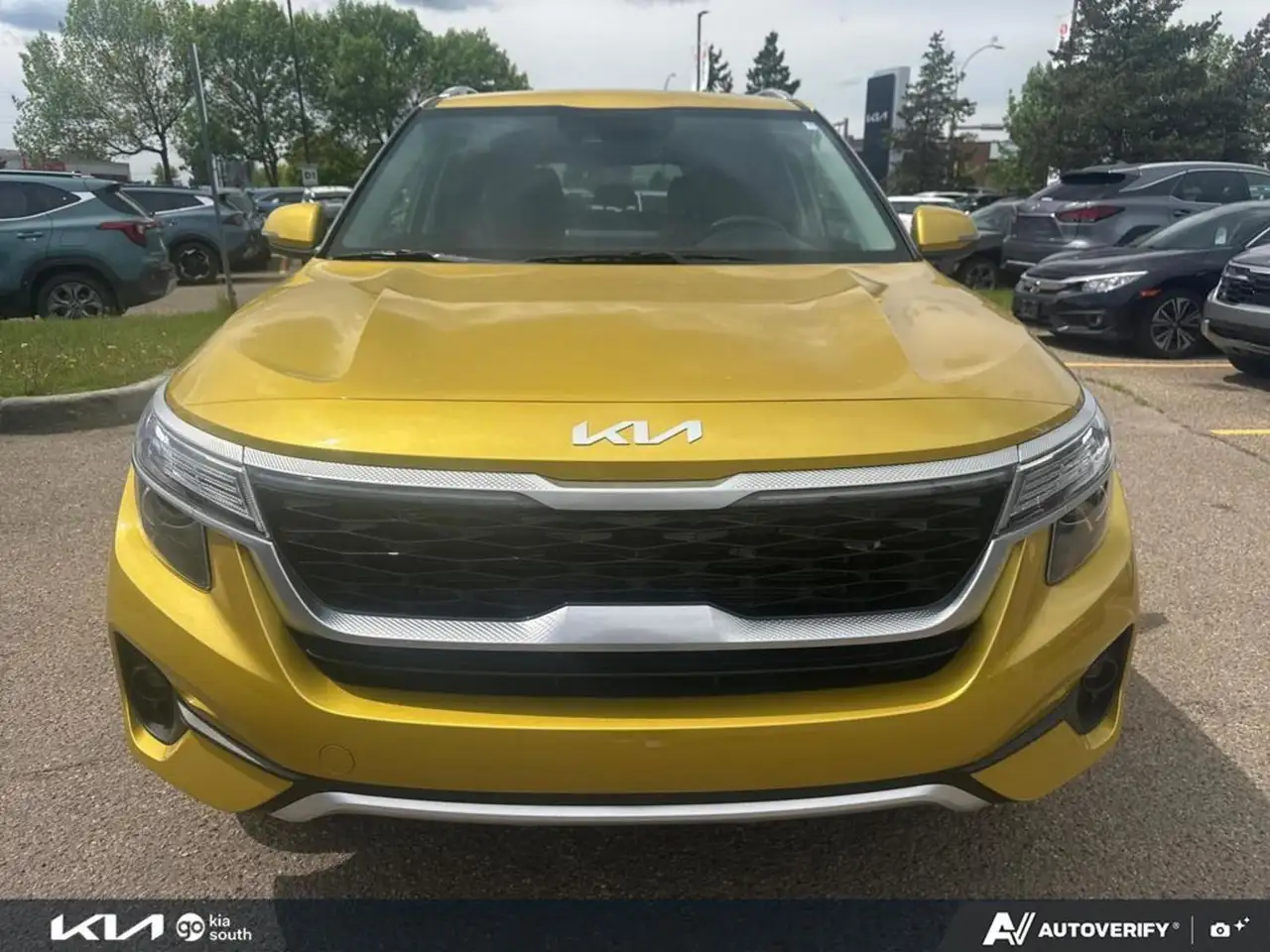 Kia Seltos photo Kia Seltos