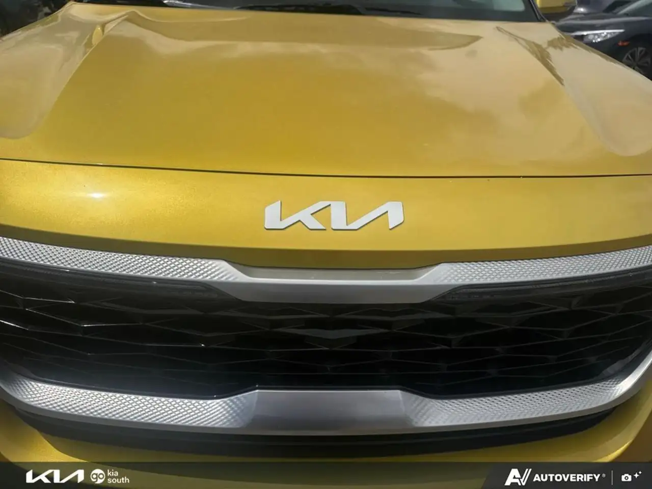 Kia Seltos photo Kia Seltos
