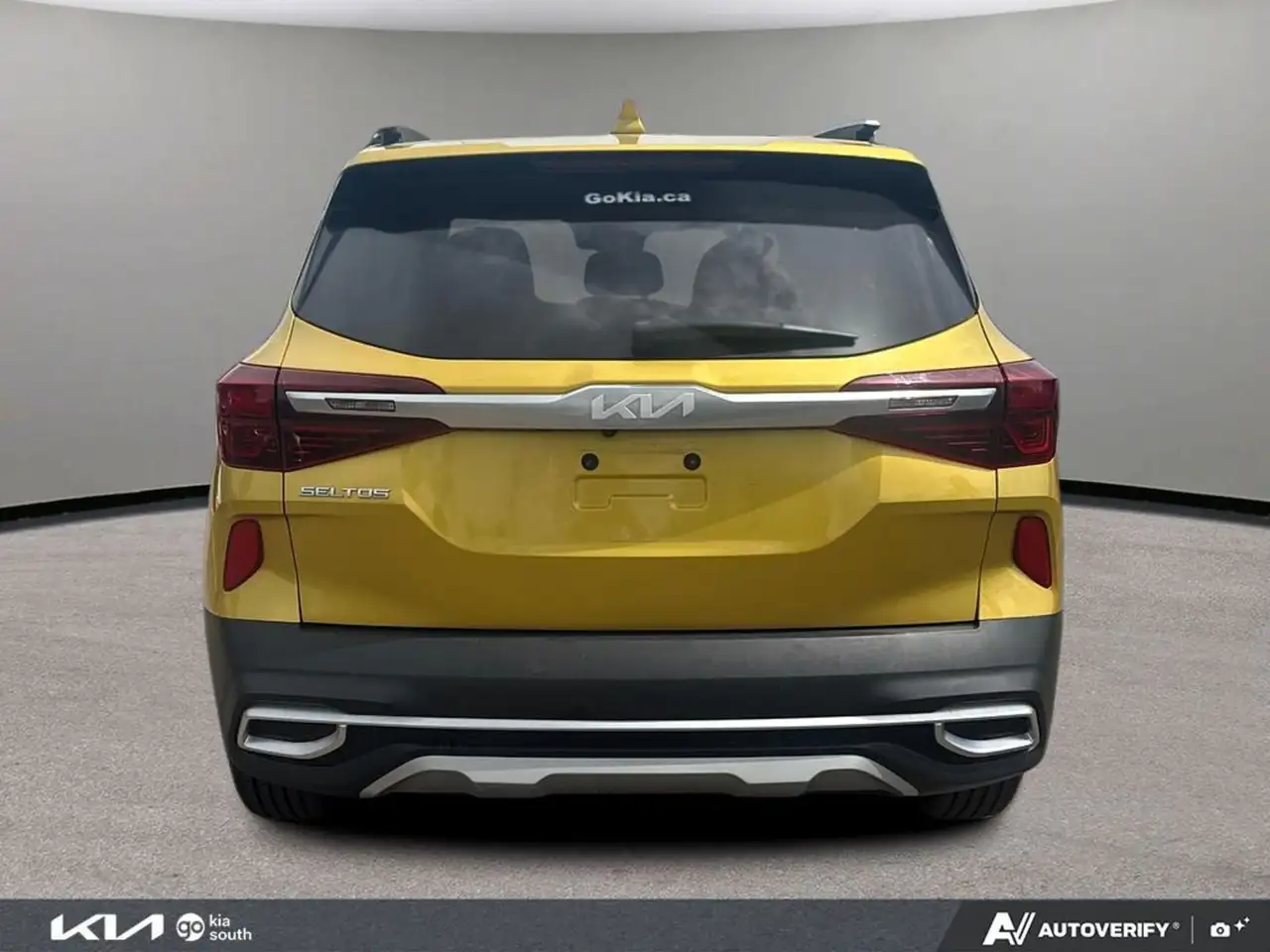 Kia Seltos photo Kia Seltos