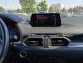 Mazda CX-5 2.0 Exceed awd 165 CV Auto Grigio - thumbnail 13