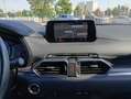 Mazda CX-5 2.0 Exceed awd 165 CV Auto Grigio - thumbnail 12