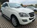 Mercedes-Benz ML 350 Grand Edition CDI 4Matic Weiß - thumbnail 3