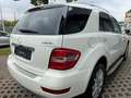 Mercedes-Benz ML 350 Grand Edition CDI 4Matic Weiß - thumbnail 4