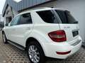 Mercedes-Benz ML 350 Grand Edition CDI 4Matic Weiß - thumbnail 6