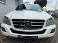 Mercedes-Benz ML 350 Grand Edition CDI 4Matic Weiß - thumbnail 2