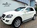 Mercedes-Benz ML 350 Grand Edition CDI 4Matic Weiß - thumbnail 1
