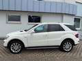 Mercedes-Benz ML 350 Grand Edition CDI 4Matic Weiß - thumbnail 8