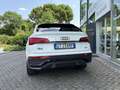 Audi SQ5 Q5 SPB 40 TDI QUATTRO S-LINE 204 CV C.AUTOMATICO Alb - thumbnail 5