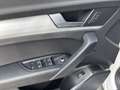 Audi SQ5 Q5 SPB 40 TDI QUATTRO S-LINE 204 CV C.AUTOMATICO Alb - thumbnail 8