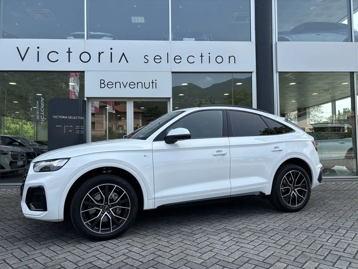 Audi SQ5 Q5 SPB 40 TDI QUATTRO S-LINE 204 CV C.AUTOMATICO Alb - 1