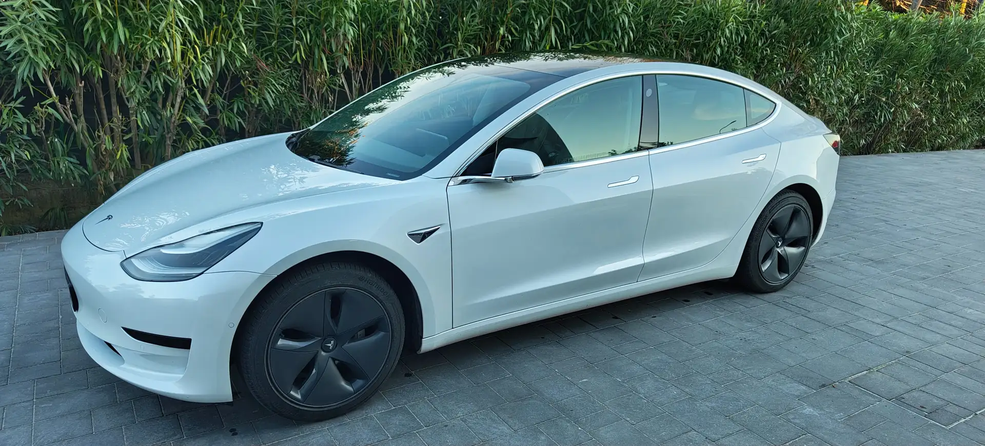 Tesla Model 3 Model 3 Standard rwd Plus Bianco - 2
