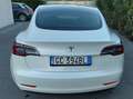 Tesla Model 3 Model 3 Standard rwd Plus Bianco - thumbnail 3
