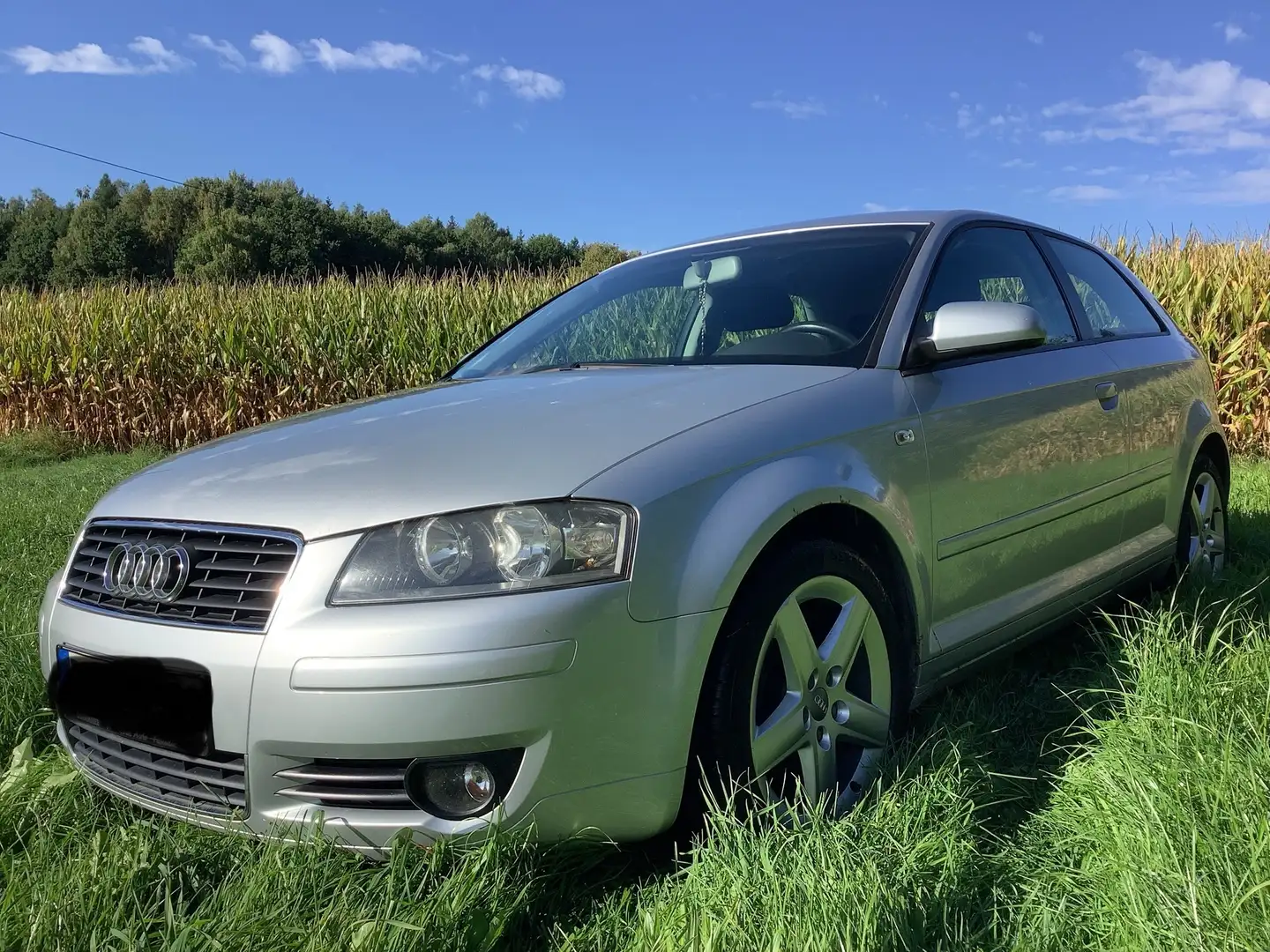 Audi A3 A3 1.6 FSI Ambition,  Guter Zustand! Silber - 2