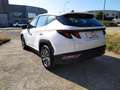Hyundai TUCSON 1.6 CRDI 115 CV KLASS 5P Blanc - thumbnail 14
