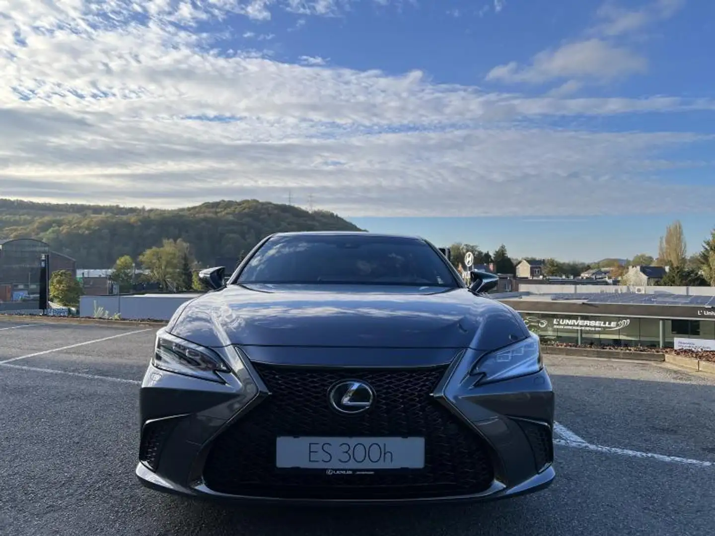 Lexus ES 300 F SPORT Line Šedá - 2