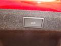 Skoda Octavia 150PS DSG mHEV Sportline ACC 4xSHZ Rot - thumbnail 11